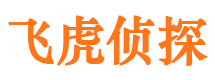 高淳商务调查